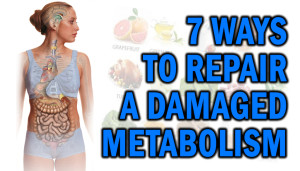 7 Ways To Repair A Damaged Metabolism