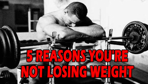5 REASONS YOU'RE NOT LOSING WEIGHT