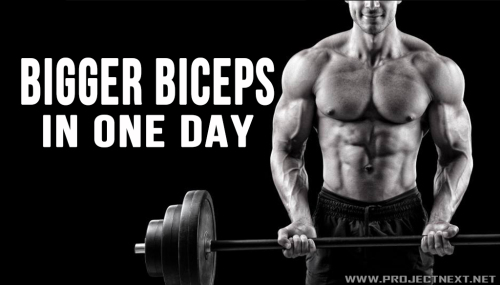 Bigger Biceps in ONE Day