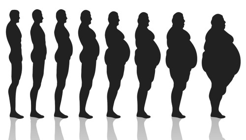 How to Lose Fat Quickly