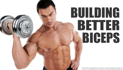 Building Better Biceps