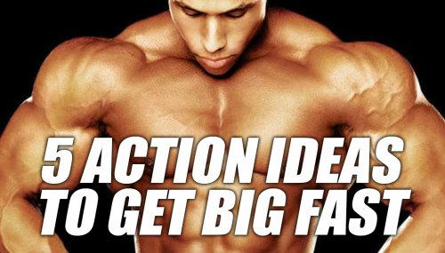 5 Action Ideas To Get Big Fast