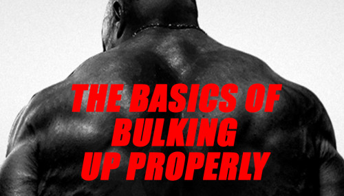 THE BASICS OF BULKING UP PROPERLY