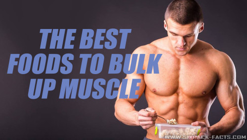 THE BEST FOODS TO BULK UP MUSCLE
