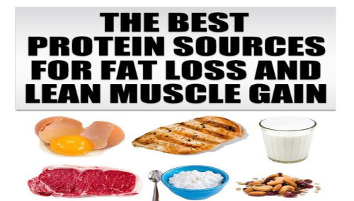 The Best Protein Sources For Fat Loss And Lean Muscle Gain