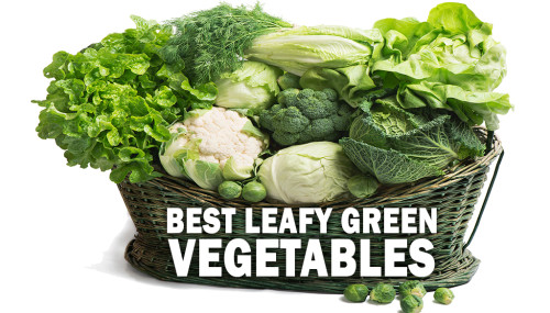 Best Leafy Green Vegetables