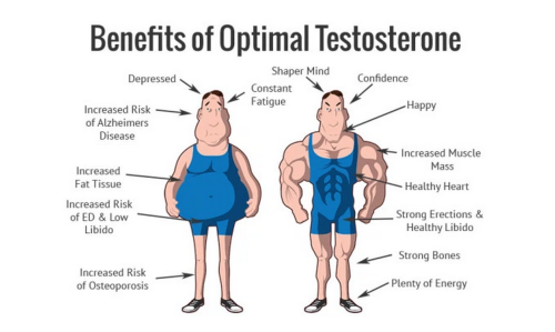 Benefits of Optimal Testosterone