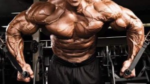 Top 7 Weight Lifting Routines to Build Muscle