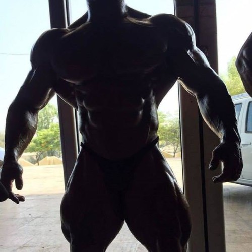Great Bodybuilding Workouts