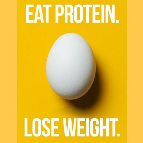 Eat Protein. Lose Weight.