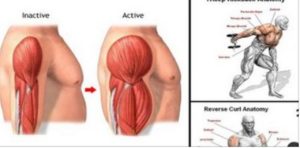Gain Biceps And Triceps Mass With These 12 Exercises And Workout