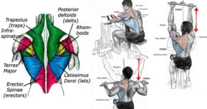 4 Guaranteed Ways to Get a Bigger and Stronger Back