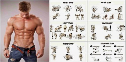 Weight Training Programs to Build Muscle and Gain Weight