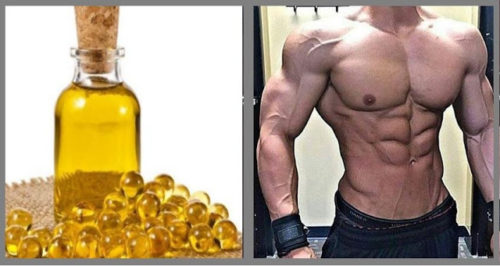 The Benefits of Fish Oil for Bodybuilding