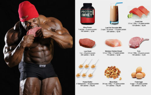 How Much Protein You Should Eat to Build Muscle
