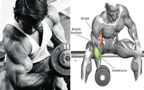 Murder Your Biceps With These 4 Brutal Exercises