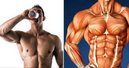 The 4 Best Supplements to Gain Muscle