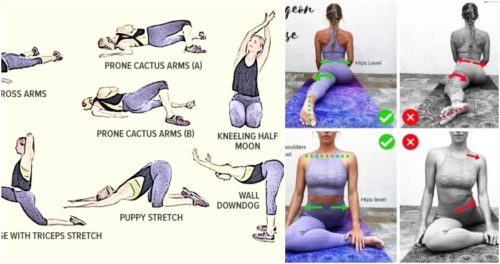 Yoga and Stretching Exercises & Correct Form